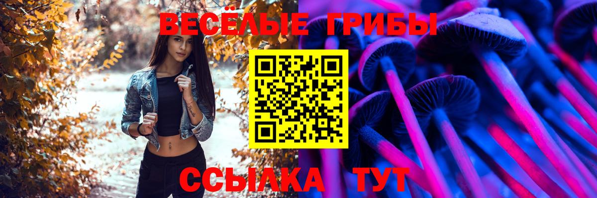 Галлюциногенные грибы прущие грибы  Вход с VPN  Электрогорск 